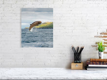 Load image into Gallery viewer, 8323271-2941413