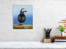 Load image into Gallery viewer, 8323333-2953306