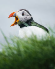 Load image into Gallery viewer, 8323340