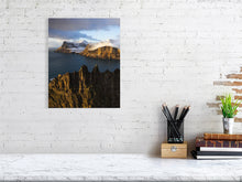 Load image into Gallery viewer, 8323342-2940034