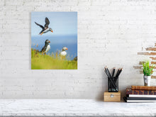 Load image into Gallery viewer, 8323310-2941349