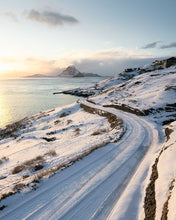 Load image into Gallery viewer, 8323350