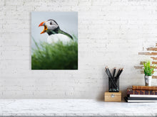 Load image into Gallery viewer, 8323340-2940462