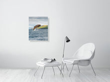 Load image into Gallery viewer, 8323271-2941414