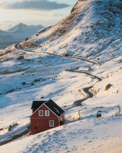 Load image into Gallery viewer, 8323286