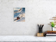 Load image into Gallery viewer, 8323286-2940044