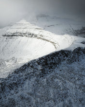 Load image into Gallery viewer, 8323293