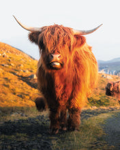 Load image into Gallery viewer, 8323292