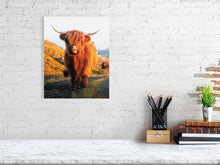 Load image into Gallery viewer, 8323292-2940516