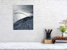 Load image into Gallery viewer, 8323293-2940465