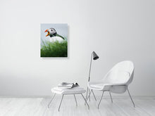 Load image into Gallery viewer, 8323340-2940463