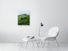 Load image into Gallery viewer, 8323332-2953310