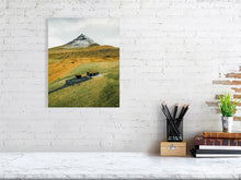 Load image into Gallery viewer, 8323316-2945050